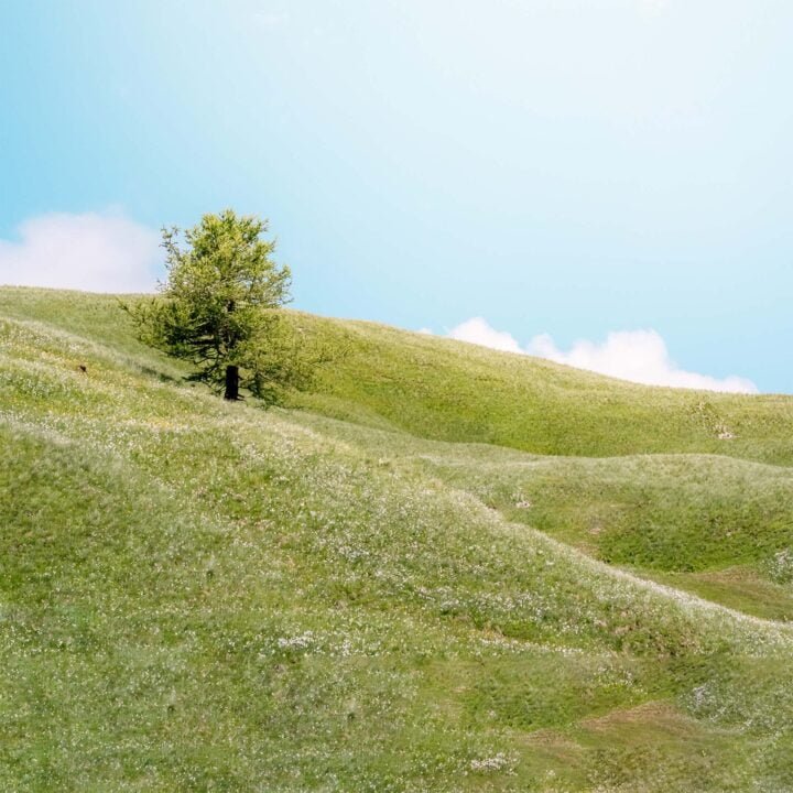 OnePlaceTwoStories Travel Blog